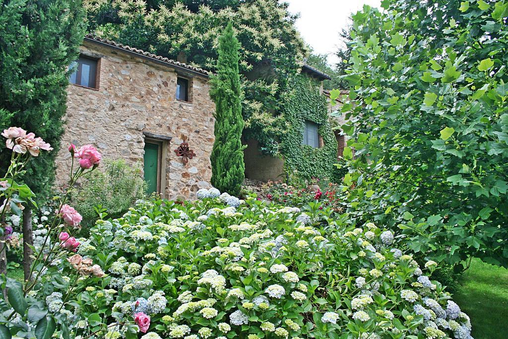Finca El Carpintero Jerte Exterior foto