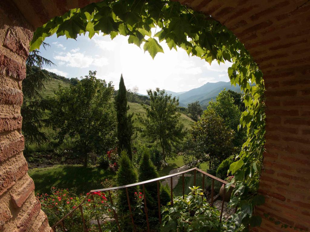 Finca El Carpintero Jerte Exterior foto